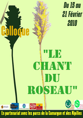 Collqui  Le Chant de Roseau 