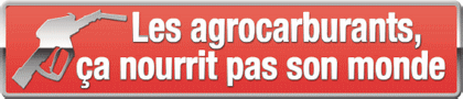 Les agrocarburants ça nourrit pas son monde Les agrocarburants ça nourrit pas son monde